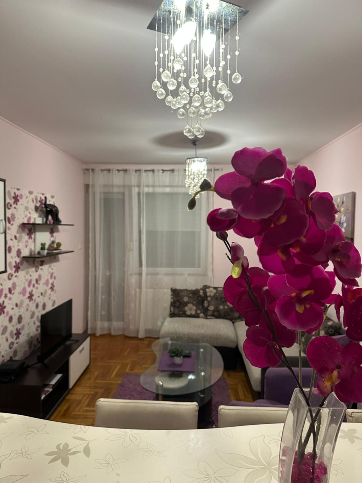 Apartman Ivana Lejlighed Novi Sad Eksteriør billede