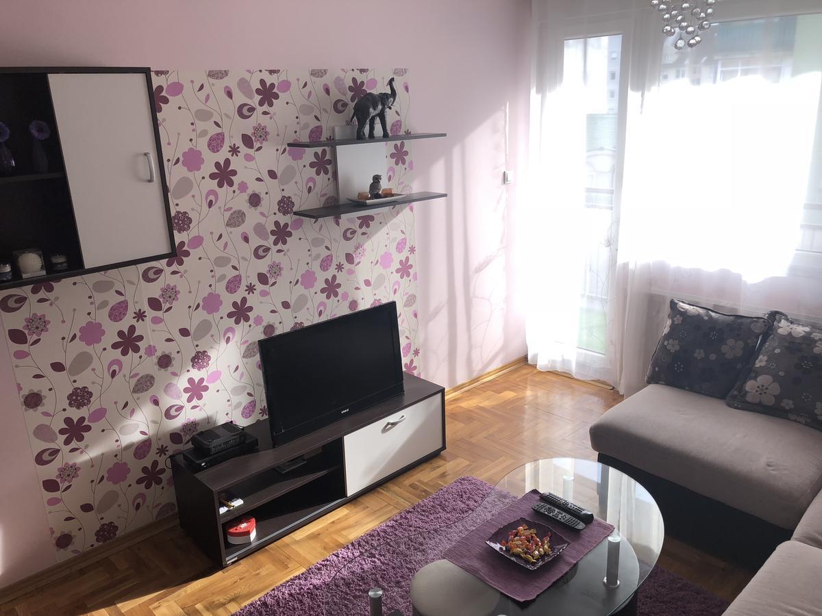 Apartman Ivana Lejlighed Novi Sad Eksteriør billede